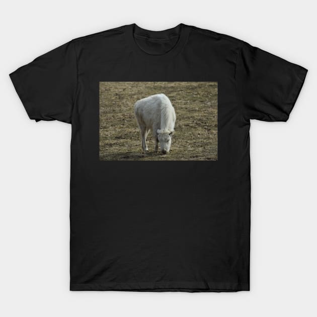 White Bison T-Shirt by MarieDarcy